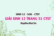 Giải Sinh 12 trang 51 Chân trời sáng tạo SGK